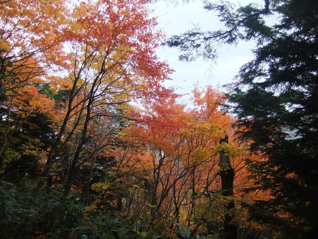 Shiga Park Hotel Yamanouchi  Buitenkant foto